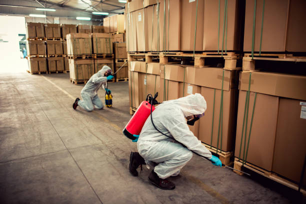 Best Commercial Pest Control Services  in Electra, TX