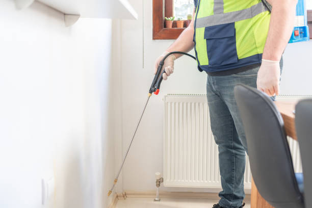 Professional Pest Control in Electra, TX