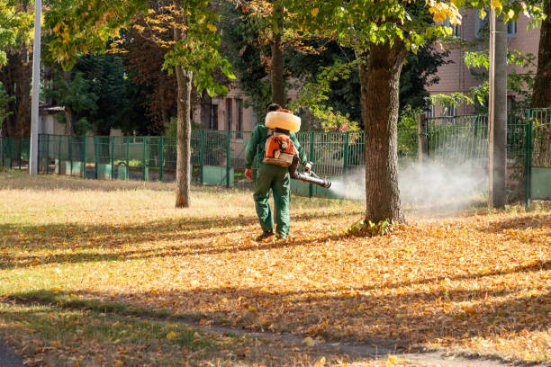 Best Pest Control Near Me  in Electra, TX